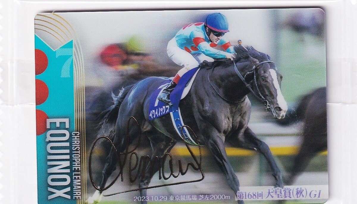 イクイノックス 2023 ドバイシーマC ルメール騎手直筆サイン 鬣 一本